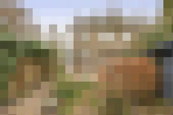 Sweelinckhof 53 Waddinxveen thumbnail 30