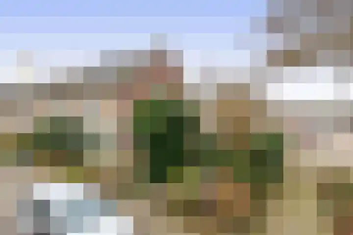 Sweelinckhof 53 Waddinxveen thumbnail 31