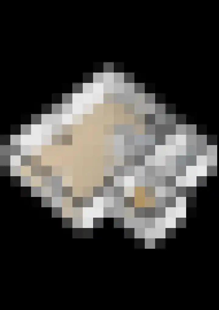 Sweelinckhof 53 Waddinxveen thumbnail 41