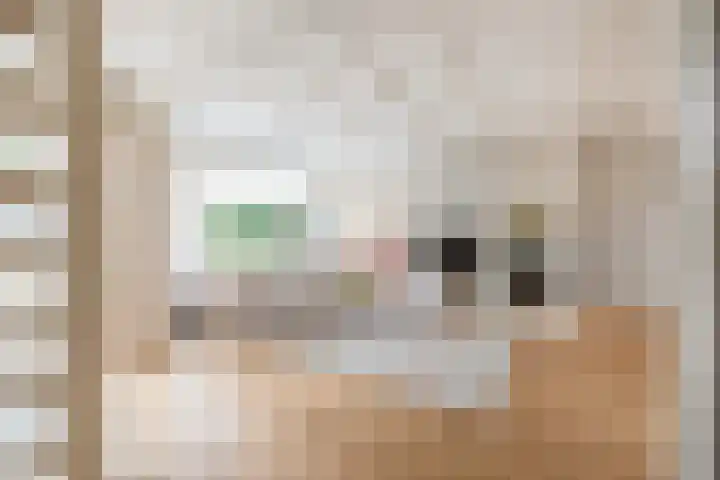 Sweelinckhof 53 Waddinxveen thumbnail 5