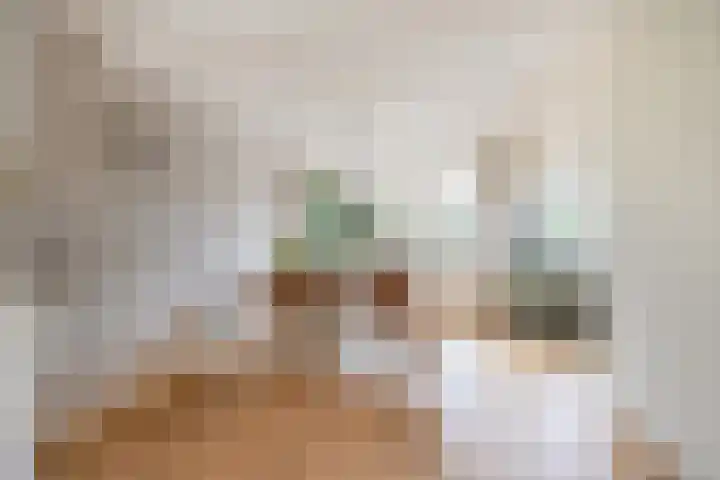Sweelinckhof 53 Waddinxveen thumbnail 7