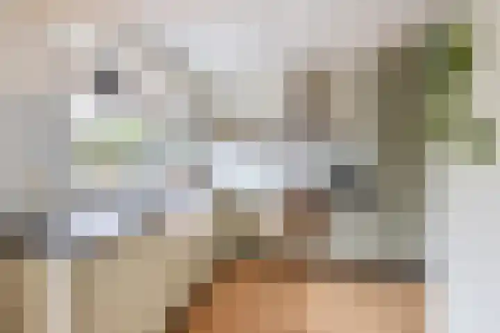 Sweelinckhof 53 Waddinxveen thumbnail 9
