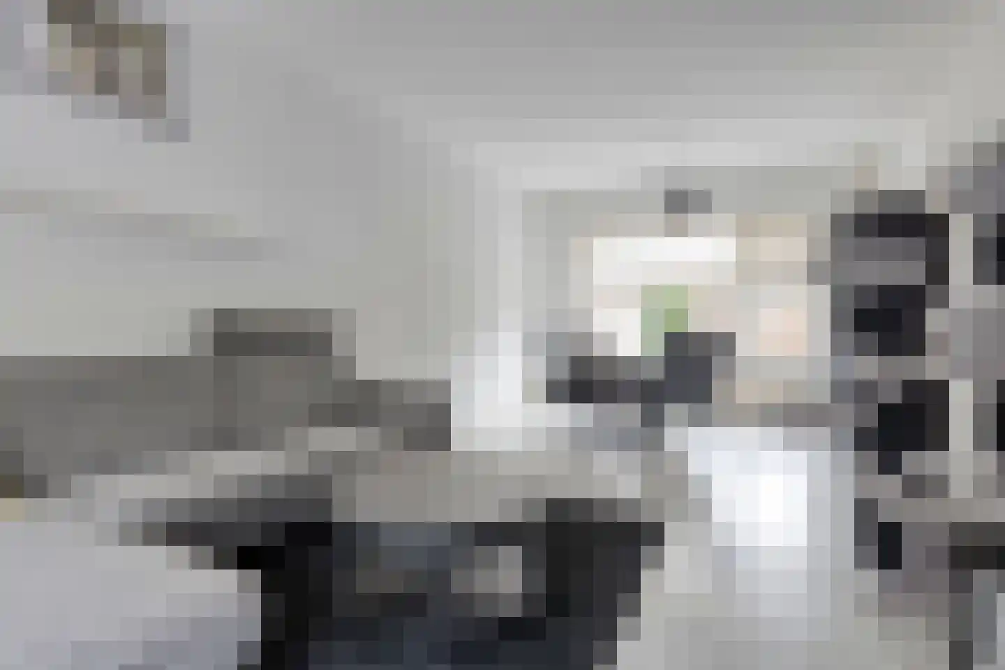 Sweelinckhof 6 Terneuzen thumbnail 15
