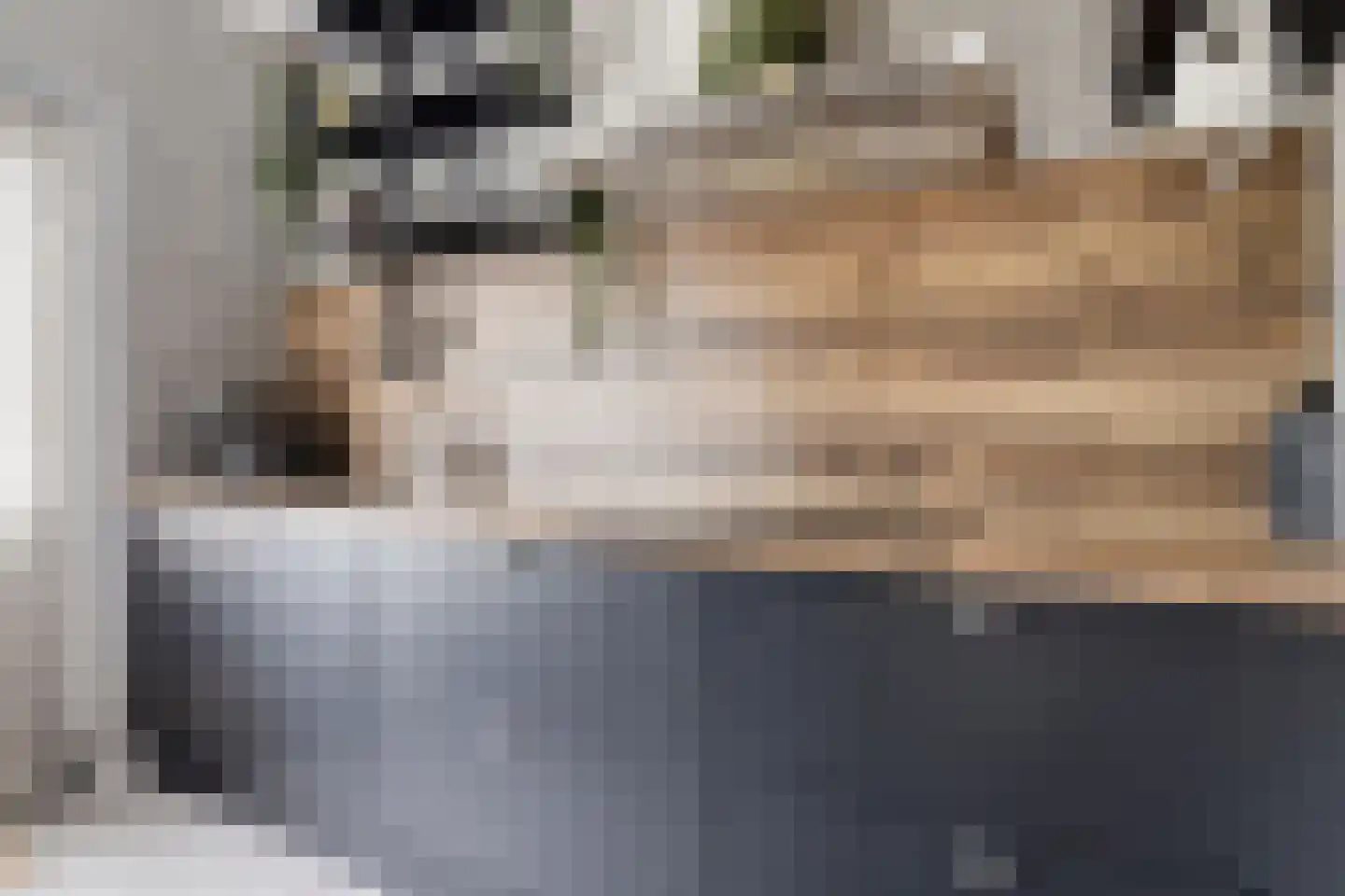 Sweelinckhof 6 Terneuzen thumbnail 20