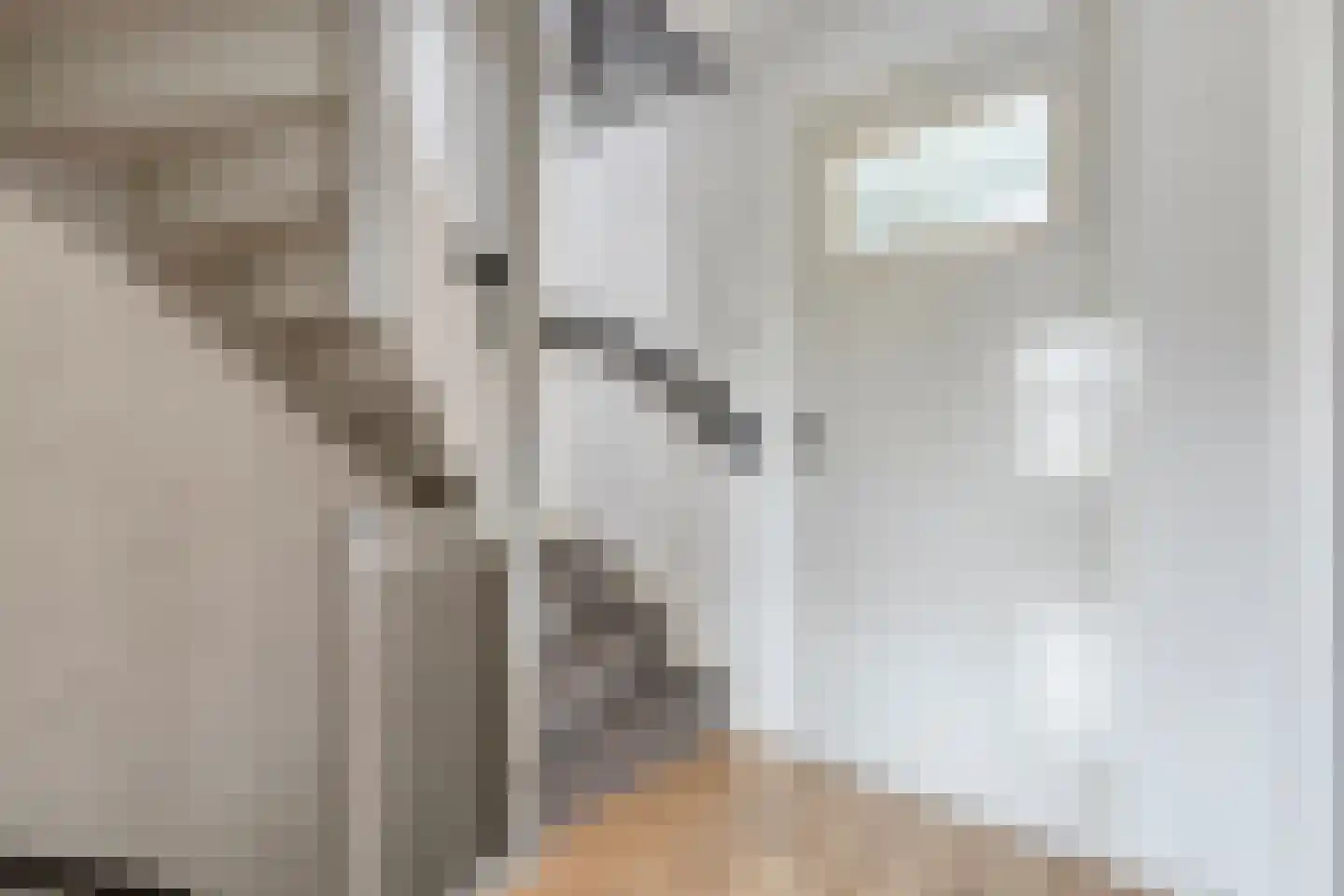 Sweelinckhof 6 Terneuzen thumbnail 22