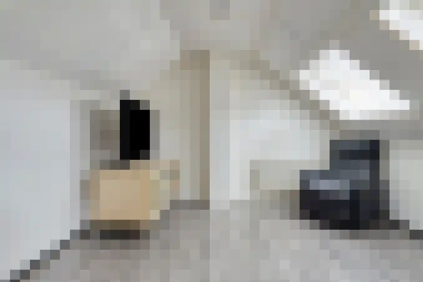 Sweelinckhof 6 Terneuzen thumbnail 31