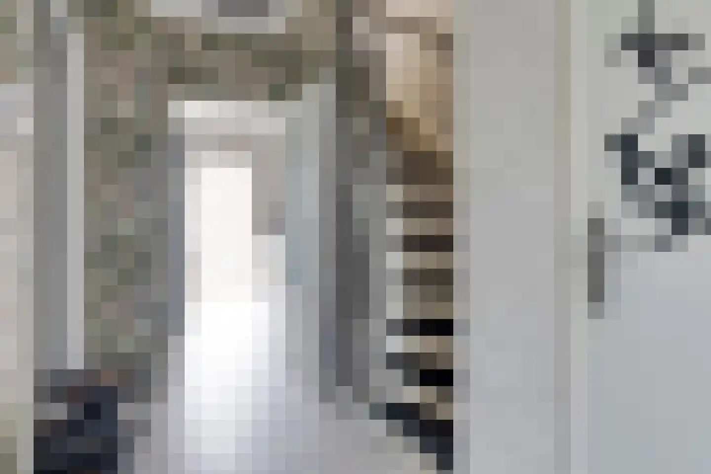 Sweelinckhof 6 Terneuzen thumbnail 9