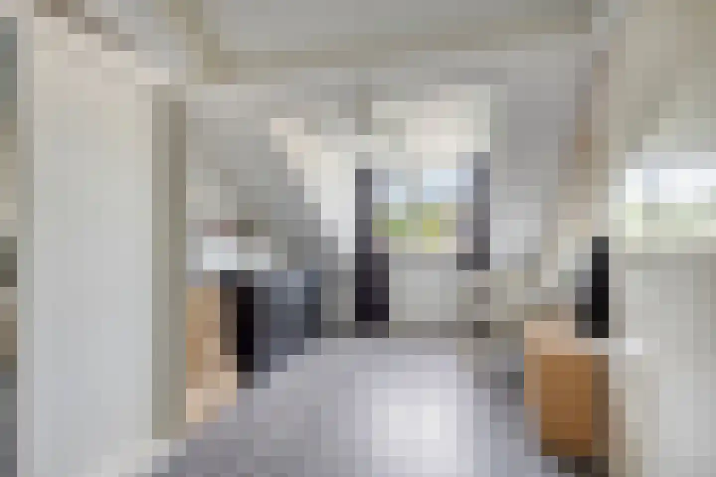 Sweelincklaan 1 Boxtel thumbnail 21