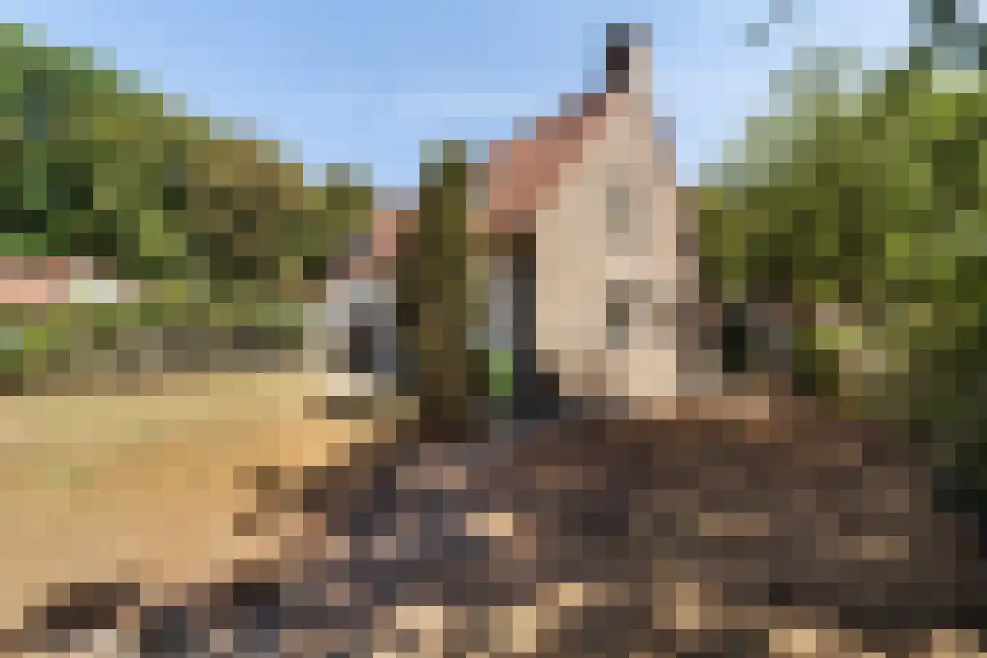 Sweelincklaan 127 Arnhem thumbnail 28