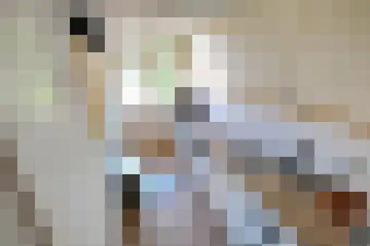 Sweelincklaan 13 Ede thumbnail 10