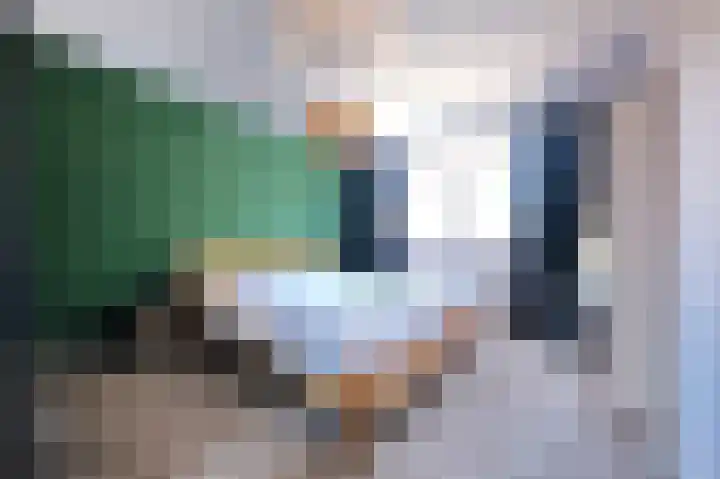 Sweelincklaan 13 Ede thumbnail 12