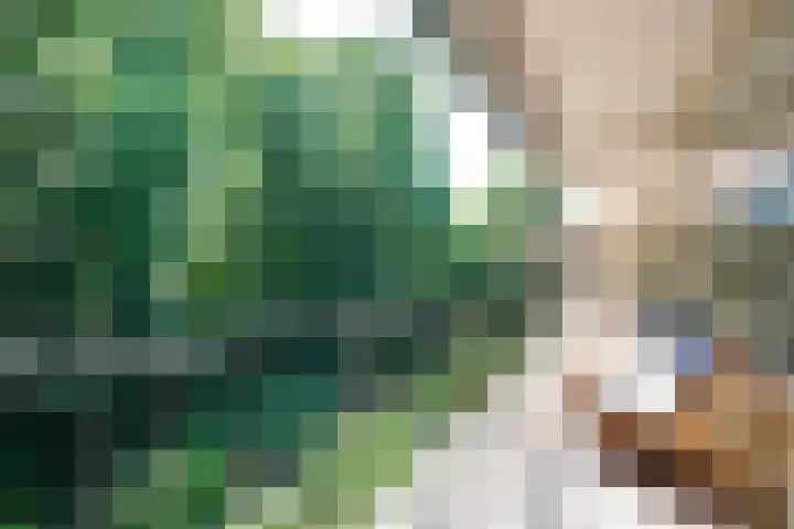 Sweelincklaan 13 Ede thumbnail 21