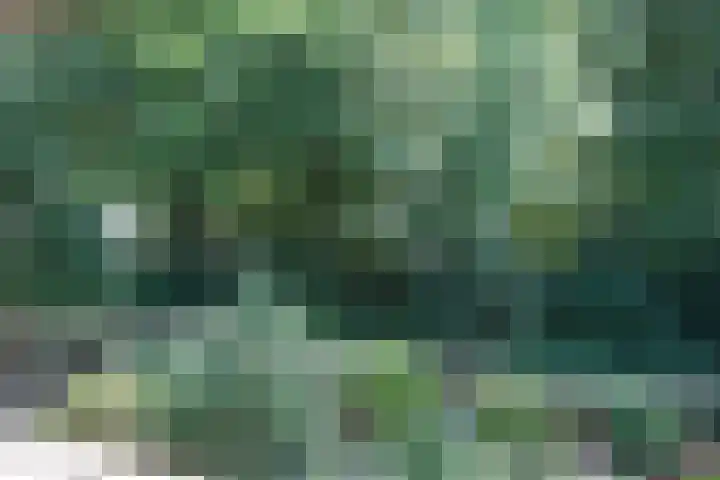 Sweelincklaan 13 Ede thumbnail 22