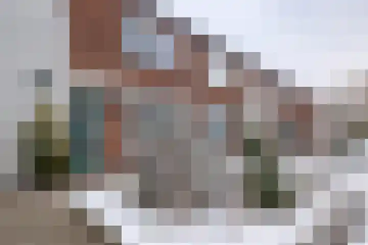 Sweelincklaan 19 Almelo thumbnail 25