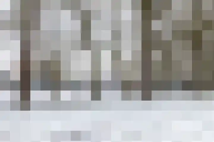 Sweelincklaan 19 Almelo thumbnail 28