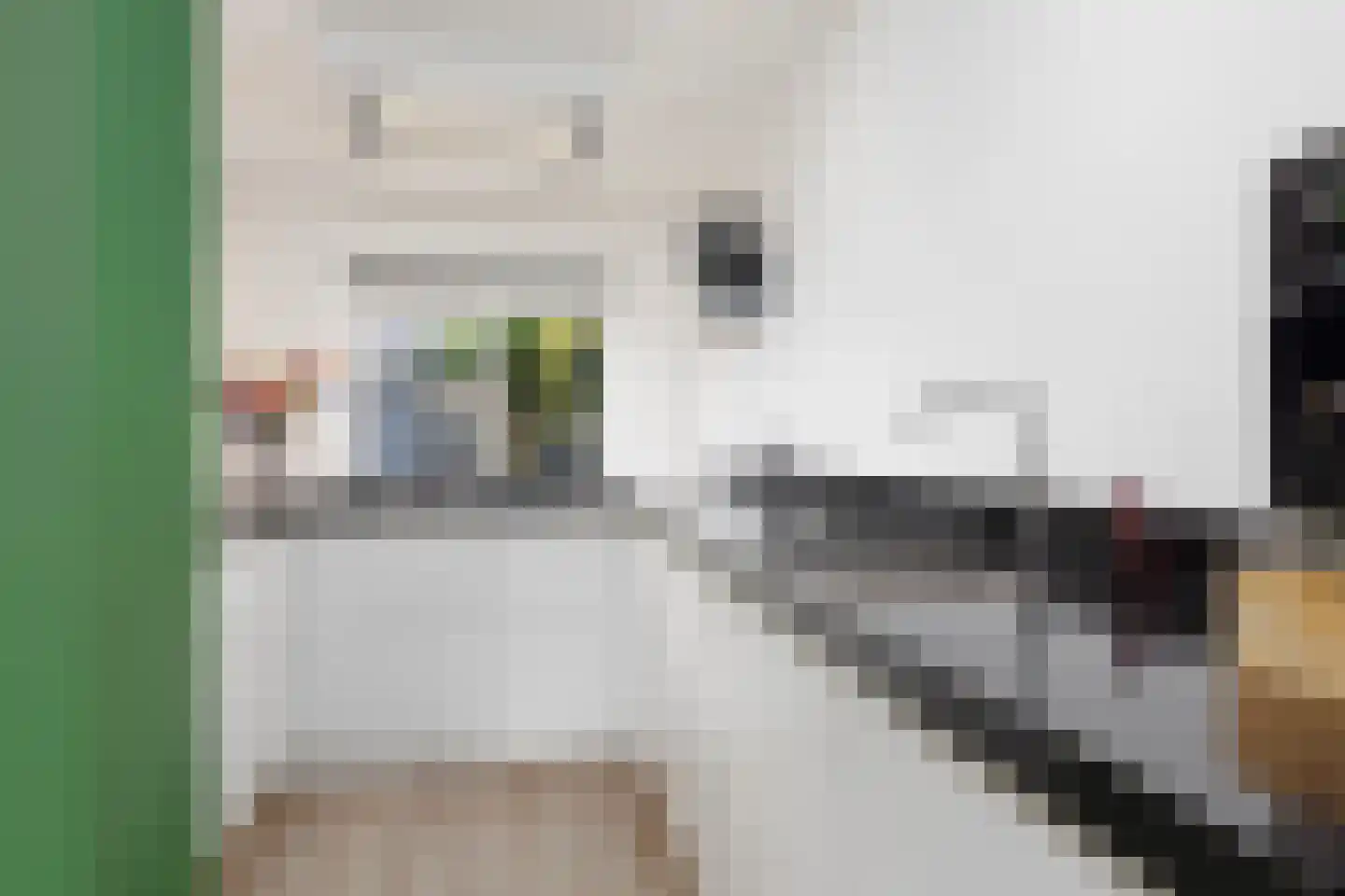 Sweelincklaan 19 Dieren thumbnail 22