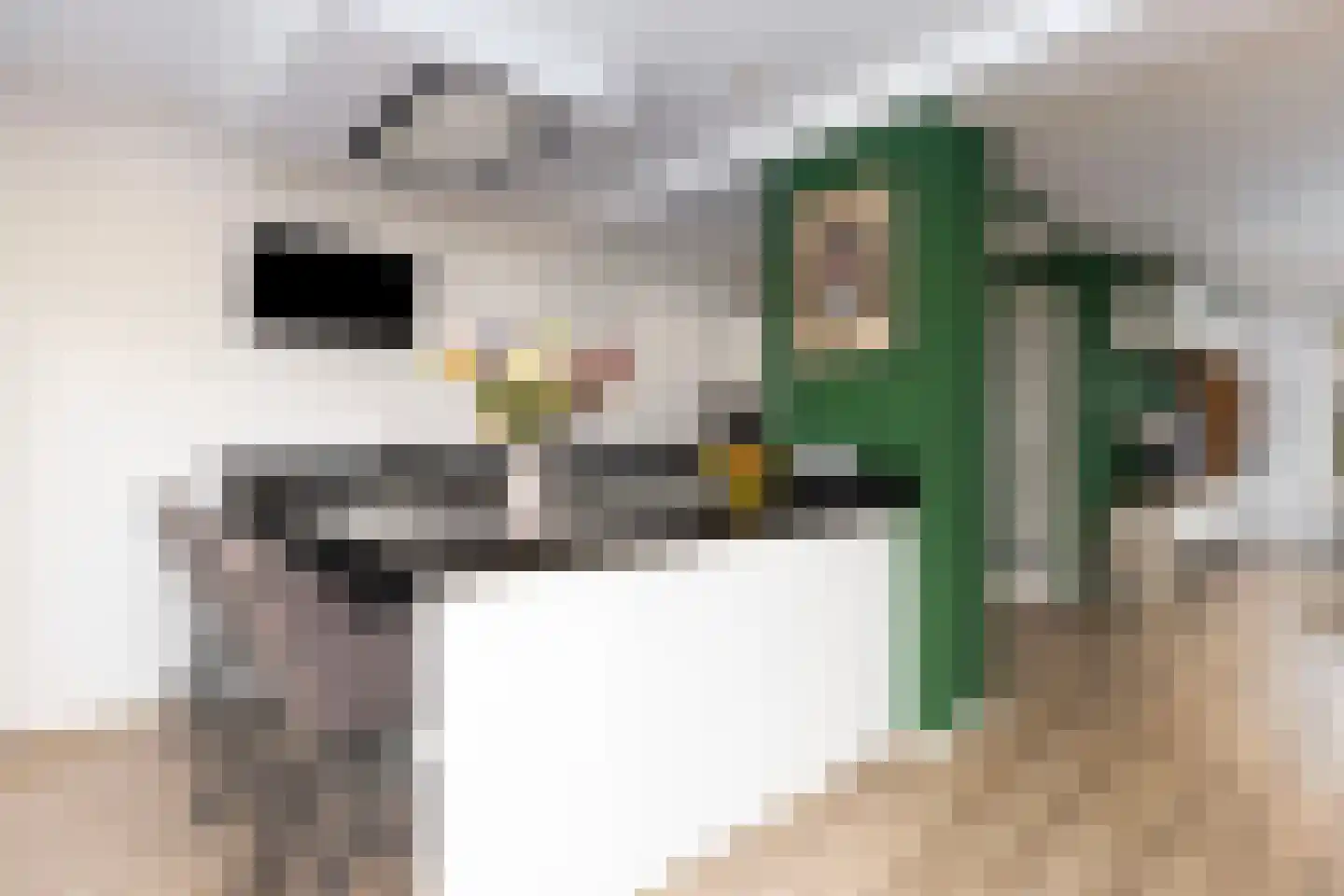 Sweelincklaan 19 Dieren thumbnail 23