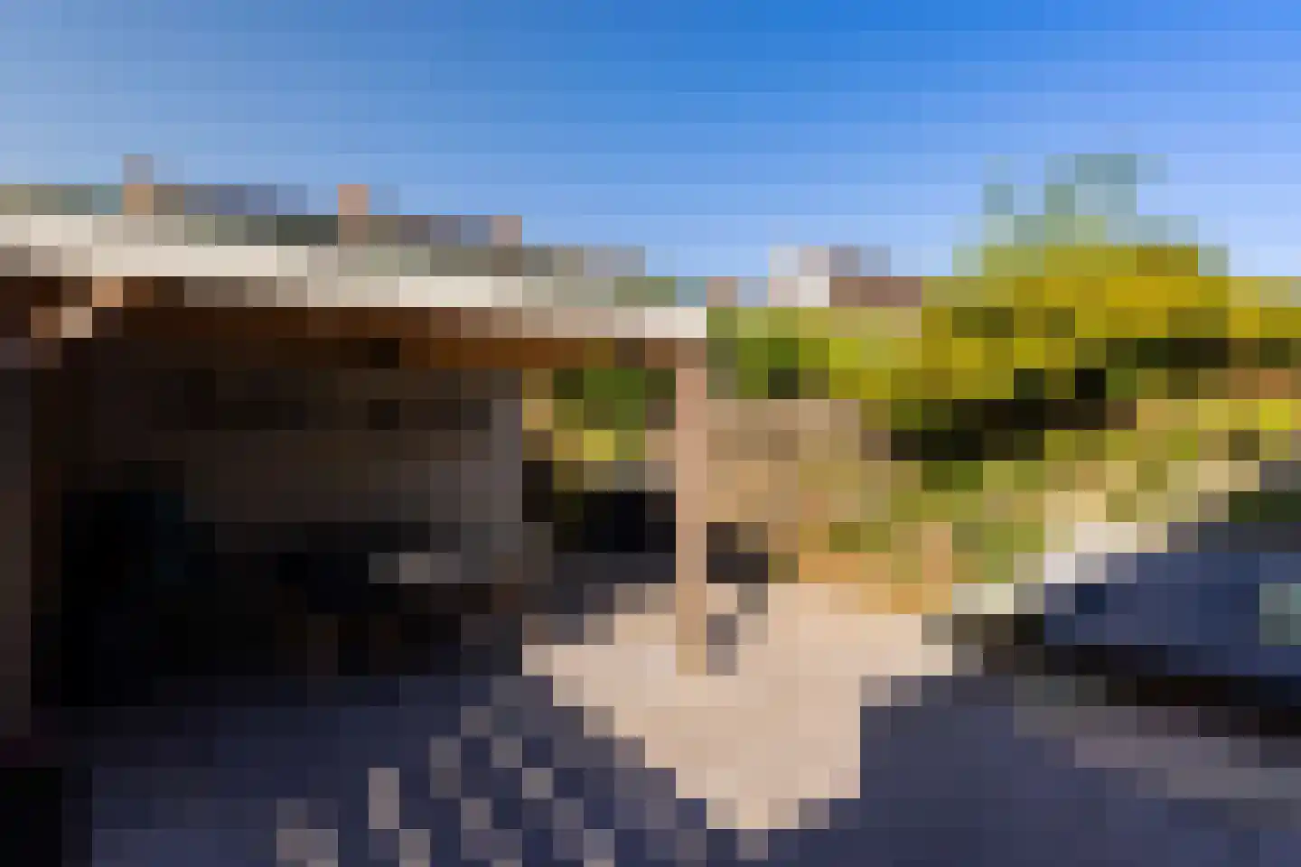 Sweelincklaan 19 Dieren thumbnail 25