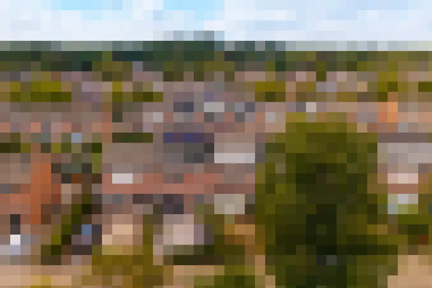 Sweelincklaan 19 Dieren thumbnail 5