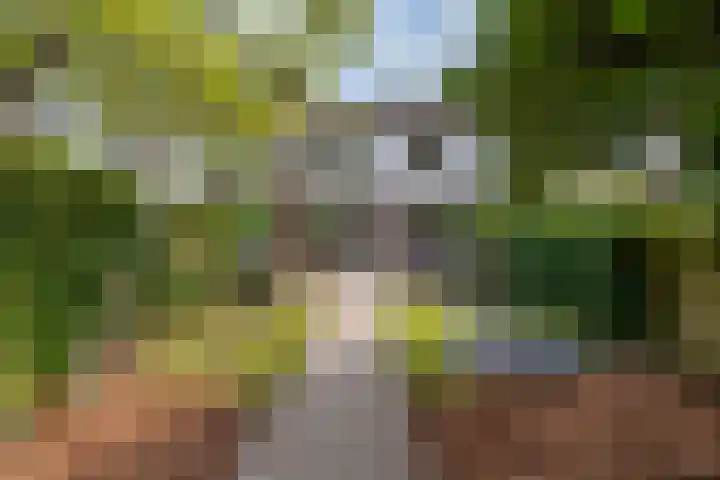 Sweelincklaan 19 Groningen thumbnail 12