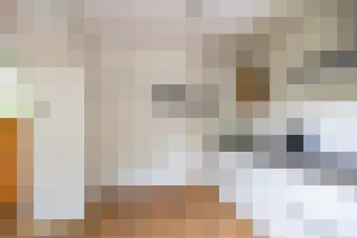 Sweelincklaan 19 Groningen thumbnail 19