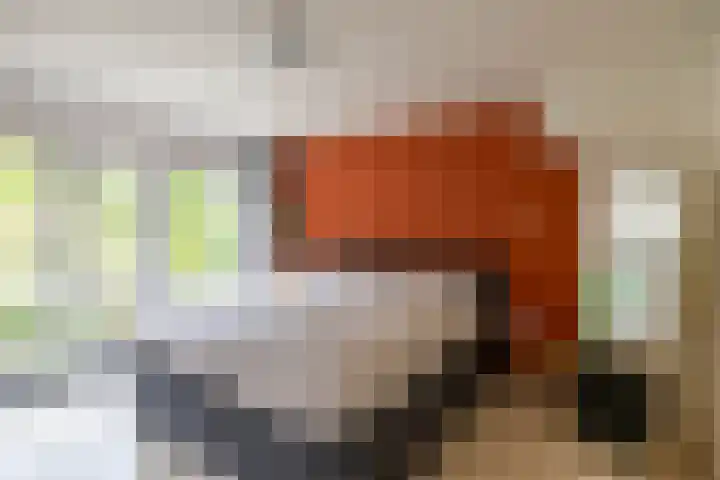 Sweelincklaan 19 Groningen thumbnail 29