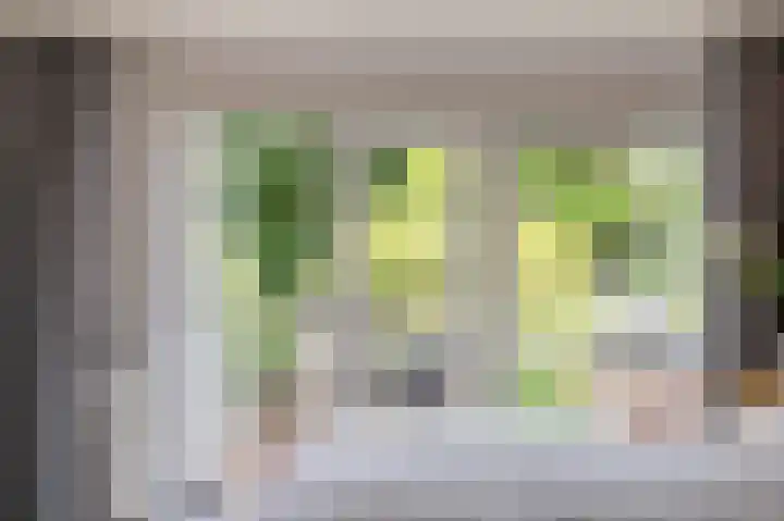 Sweelincklaan 19 Groningen thumbnail 31