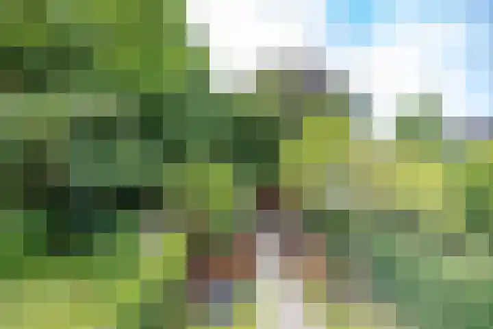 Sweelincklaan 19 Groningen thumbnail 34