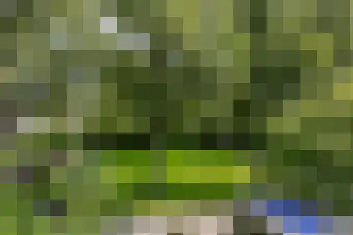 Sweelincklaan 19 Groningen thumbnail 37