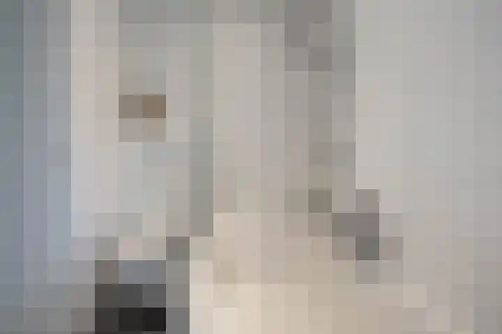 Sweelincklaan 19 Groningen thumbnail 39