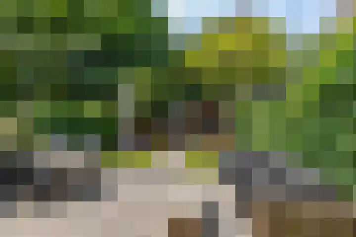 Sweelincklaan 19 Groningen thumbnail 4