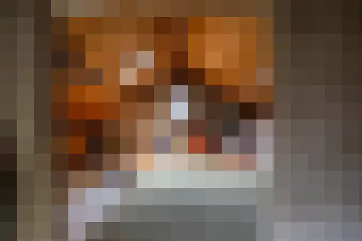 Sweelincklaan 19 Groningen thumbnail 40