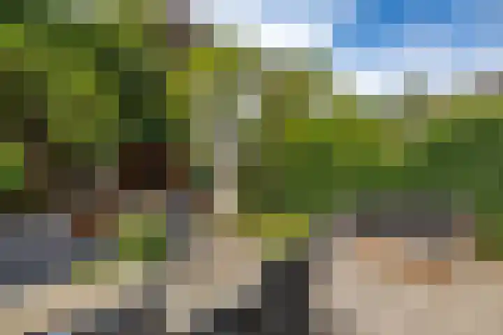 Sweelincklaan 19 Groningen thumbnail 41