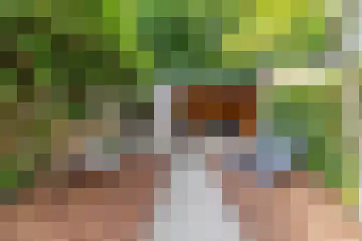Sweelincklaan 19 Groningen thumbnail 42