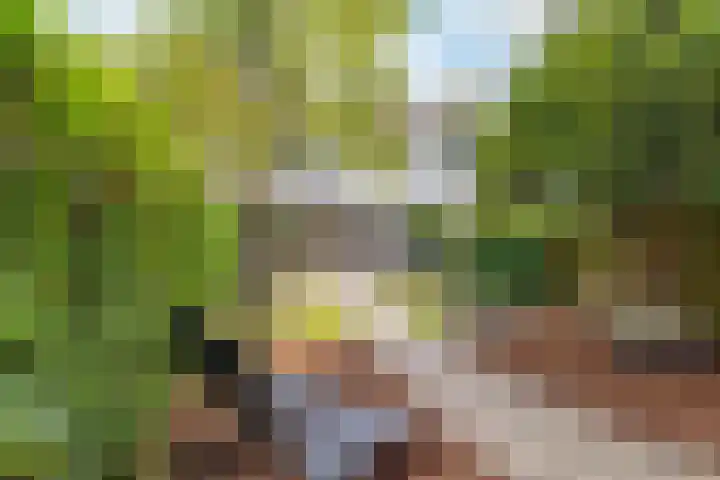Sweelincklaan 19 Groningen thumbnail 47