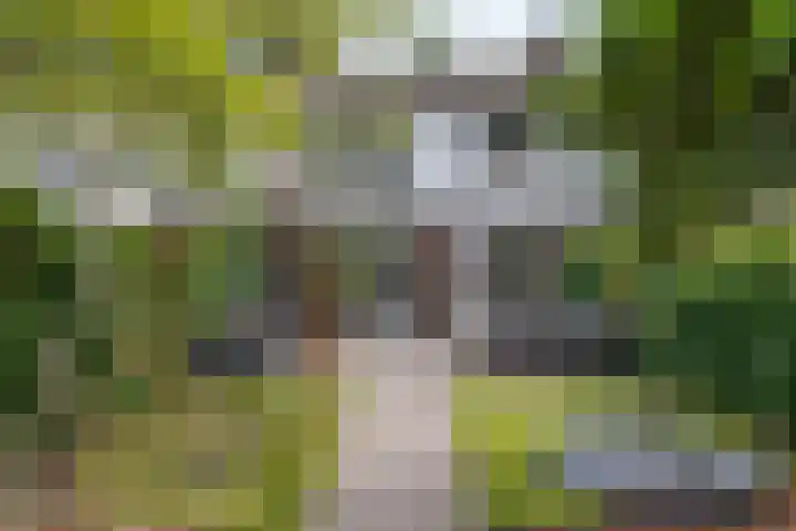 Sweelincklaan 19 Groningen thumbnail 48