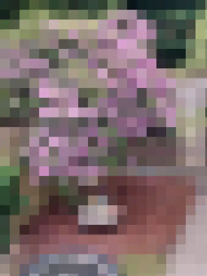 Sweelincklaan 19 Groningen thumbnail 49