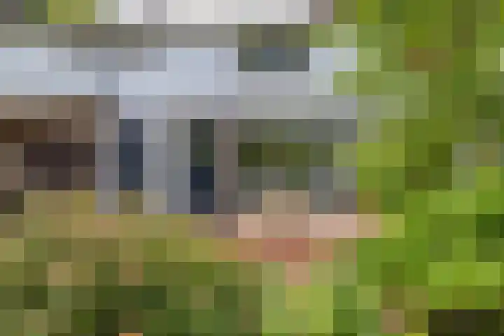 Sweelincklaan 19 Groningen thumbnail 5