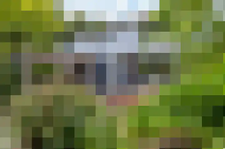 Sweelincklaan 19 Groningen thumbnail 6
