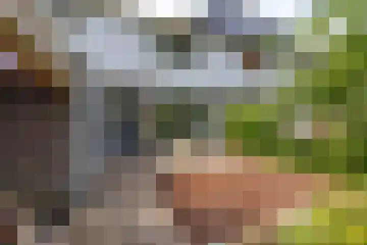 Sweelincklaan 19 Groningen thumbnail 7