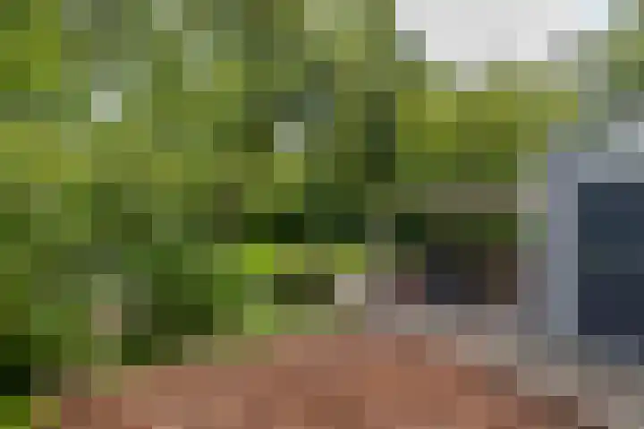 Sweelincklaan 19 Groningen thumbnail 8