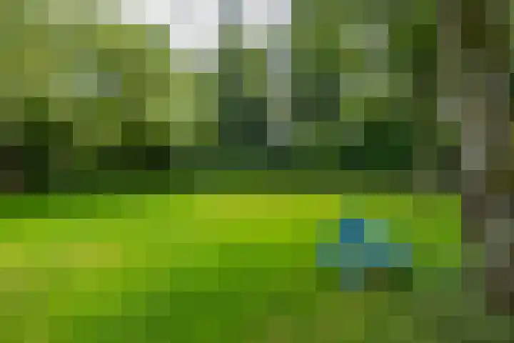 Sweelincklaan 19 Groningen thumbnail 9