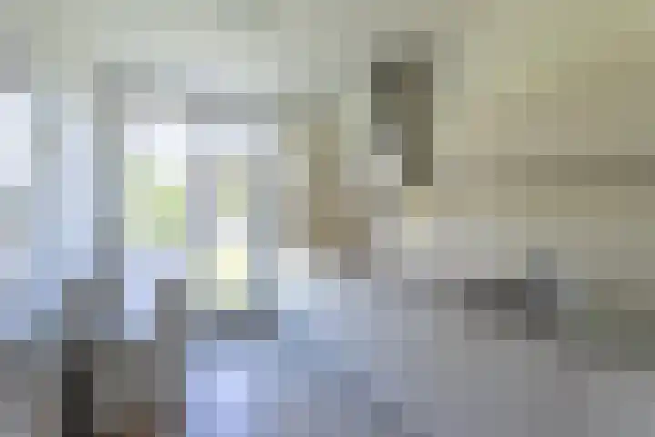 Sweelincklaan 2 Helmond thumbnail 14