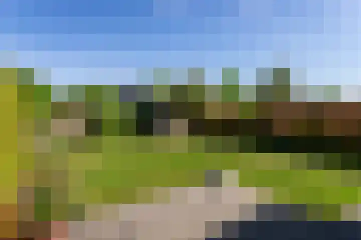 Sweelincklaan 2 Helmond thumbnail 28