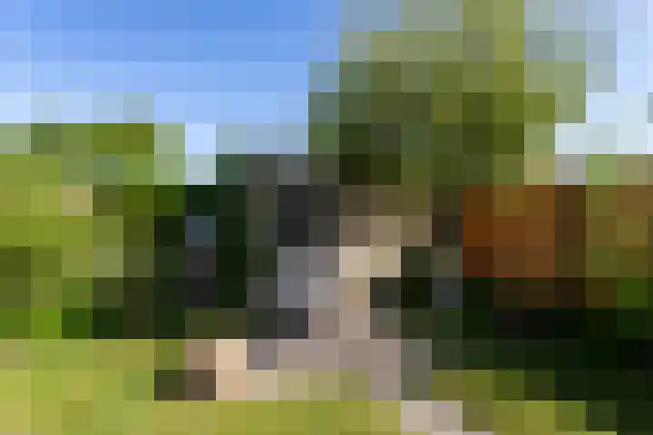 Sweelincklaan 2 Helmond thumbnail 29