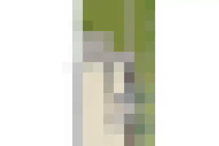 Sweelincklaan 2 Helmond thumbnail 33