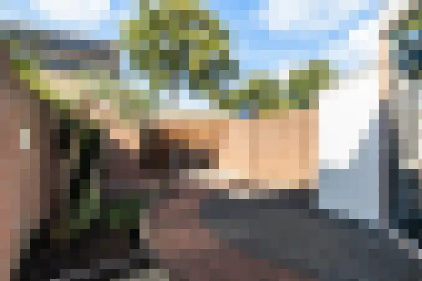 Sweelincklaan 2 's-Gravenzande thumbnail 4