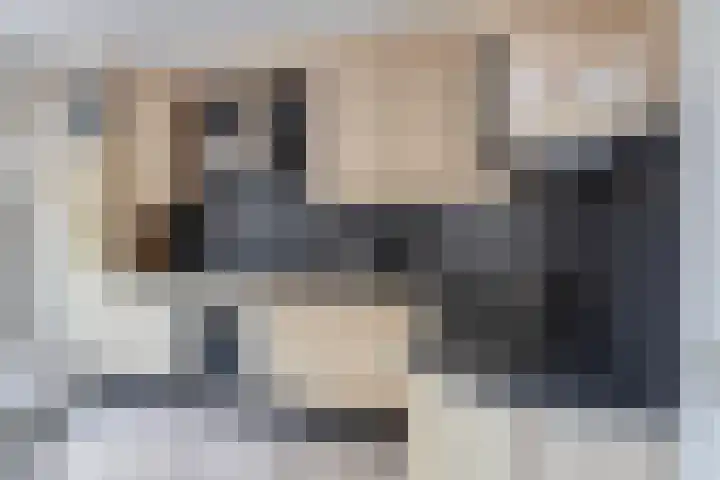 Sweelincklaan 2 Waalre thumbnail 11