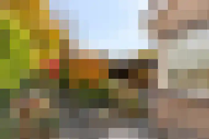 Sweelincklaan 2 Waalre thumbnail 23