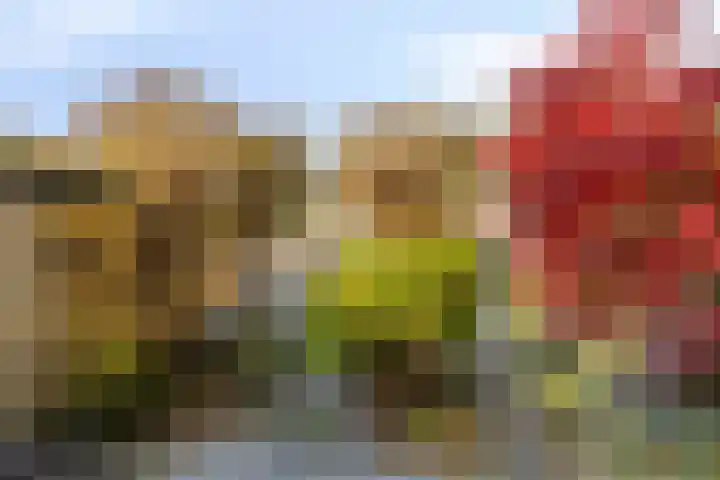Sweelincklaan 2 Waalre thumbnail 24